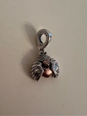 Pandora two tone lady bug 2022 exclusive authentic will ship in Pandora gift box